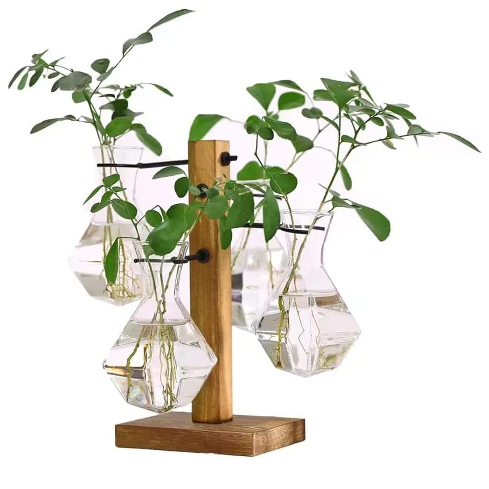 Amazon.co.jp: 植物テラリウム 木製スタンド 水耕栽培 球根ガラス 卓上